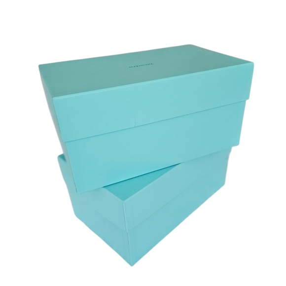 Tiffany & Co. Tiffany  Blue Luxury Shopping Bags & Two  Empty Boxes - Picture 6 of 8